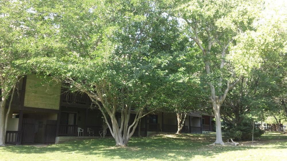 Bonnie Springs Ranch Motel Blue Diamond Екстер'єр фото