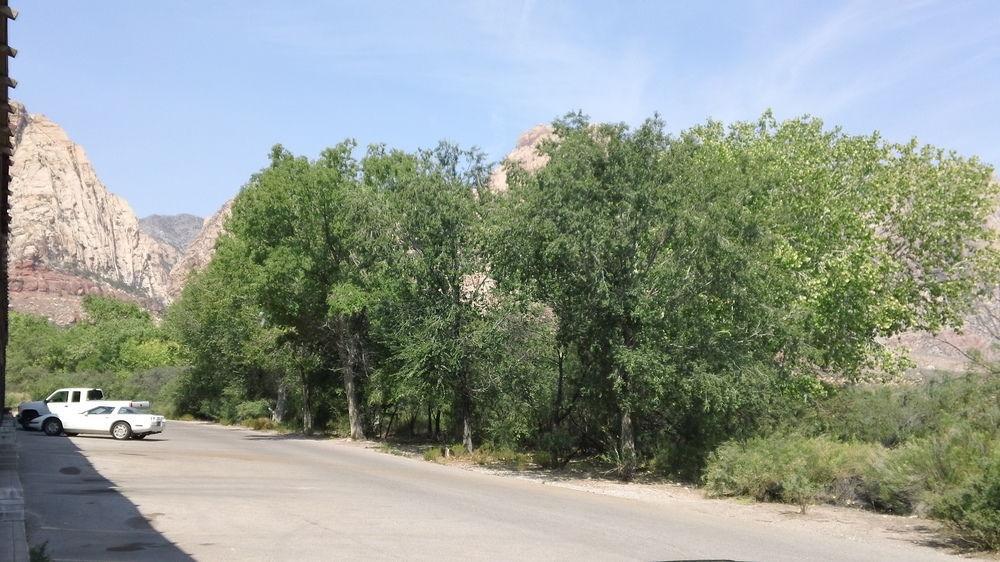 Bonnie Springs Ranch Motel Blue Diamond Екстер'єр фото